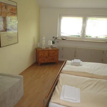 Gastehaus Altglashutten *