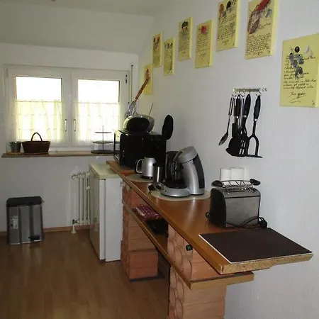 Gastehaus Altglashutten *