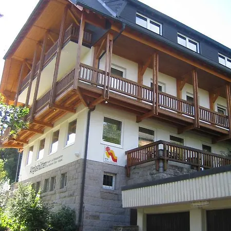 Gastehaus Altglashutten Hinterzarten